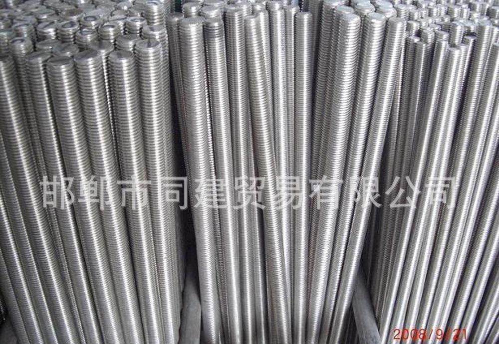廠家直銷 國標4.8級絲桿 全扣絲桿全牙螺桿鍍鋅藍白全牙絲桿