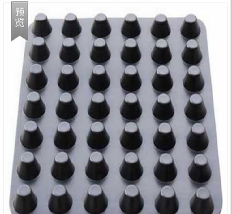 廠家生產(chǎn) 屋頂濾水板 地下室蓄水環(huán)保排水板
