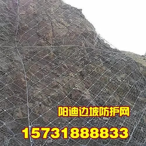 山東邊坡防護網 濟南公路邊坡防護網廠 青島SNS鋼絲繩網廠家，安平陽迪邊坡防護網廠