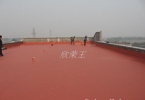 丙烯酸防水涂料 各種優(yōu)質(zhì)防水涂料