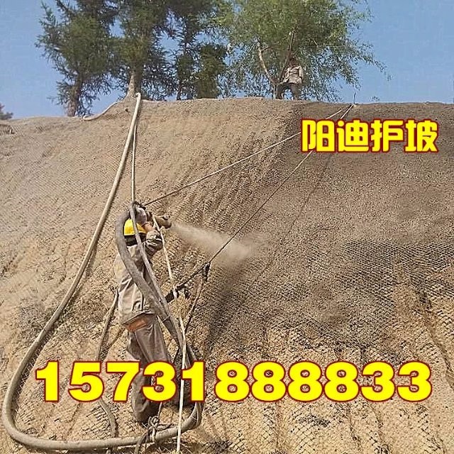 十堰客土噴播，武漢邊坡綠化，湖北山體錨噴，黃石掛網噴漿，荊州混凝土噴漿，陽迪公司