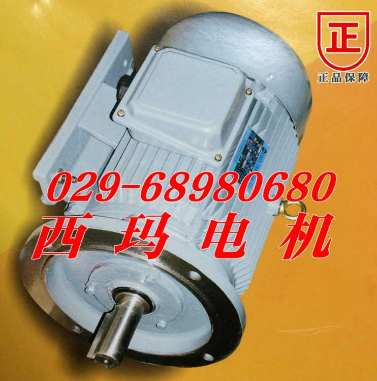 北京供應YL4504-6 630KW立式高壓電機
