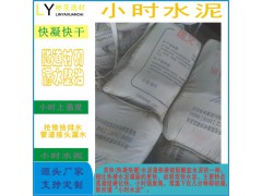烏魯木齊堵漏王  速凝型