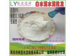 廠家直銷 阿爾博仙鹿牌外墻裝飾白水泥 甘肅阿爾博白水泥批發